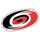 Participant logo